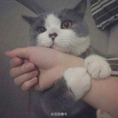 帝王世纪当乐版下载