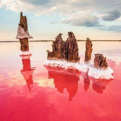 卧龙三国公测版下载