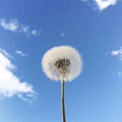神的时代英雄战争破解版下载