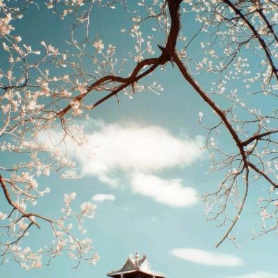 完美新世界手游官方版(暂未上线)v1.0 安卓版